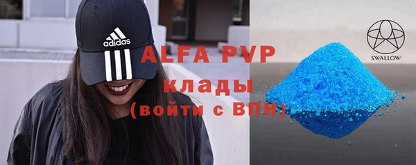 гашик Михайлов