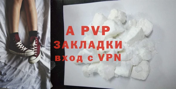 гашик Михайлов