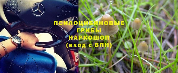 гашик Михайлов