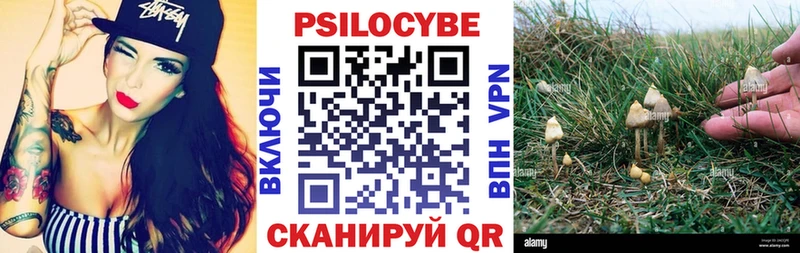 Псилоцибиновые грибы MAGIC MUSHROOMS  Купить закладки  Бирюч 